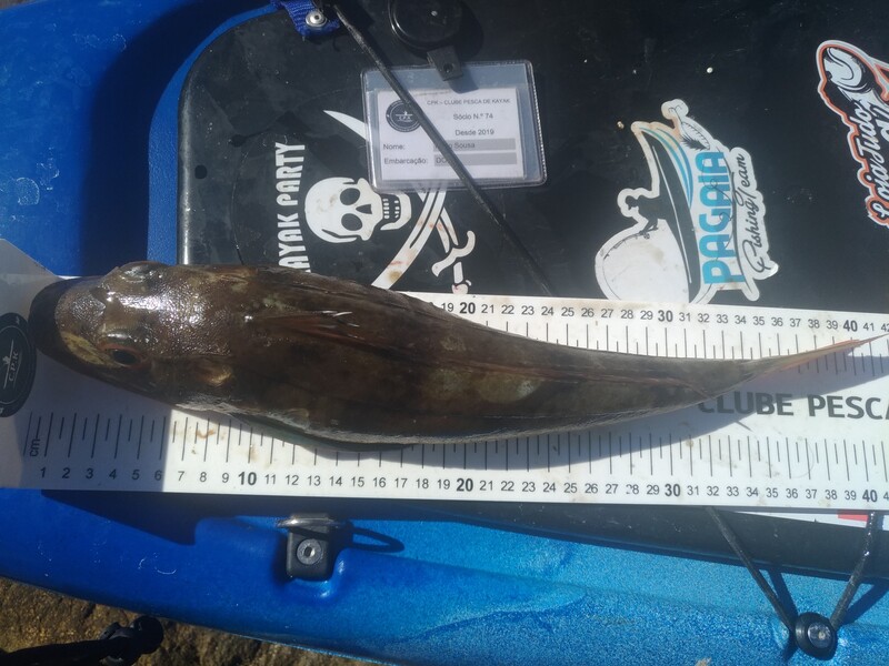 Fish Measure Picture